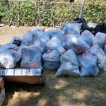 Backyard clean out