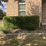 Lawn & Yard Work Project