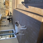 Decks & Porches Project