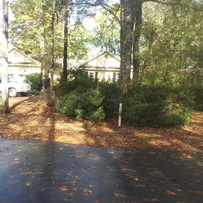 Additional Photos
