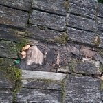Small repair