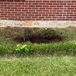 Landscaping Project