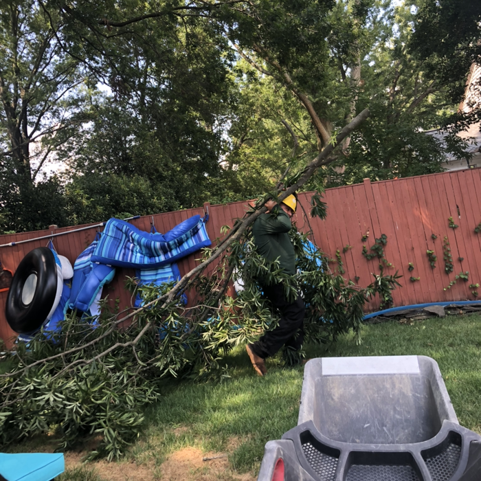 Additional Photos