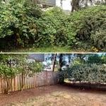 Full yard cleanup
