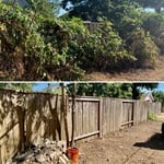 Full yard cleanup