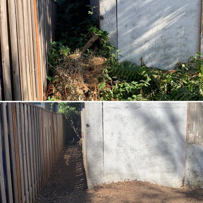 Full yard cleanup