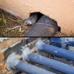 plumbing, pipes that go into the house must be sealed after