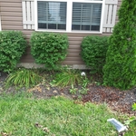 Additional Photos