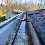Gutter cleaning