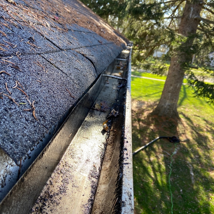 Gutter cleaning