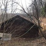 Red Oak Removal