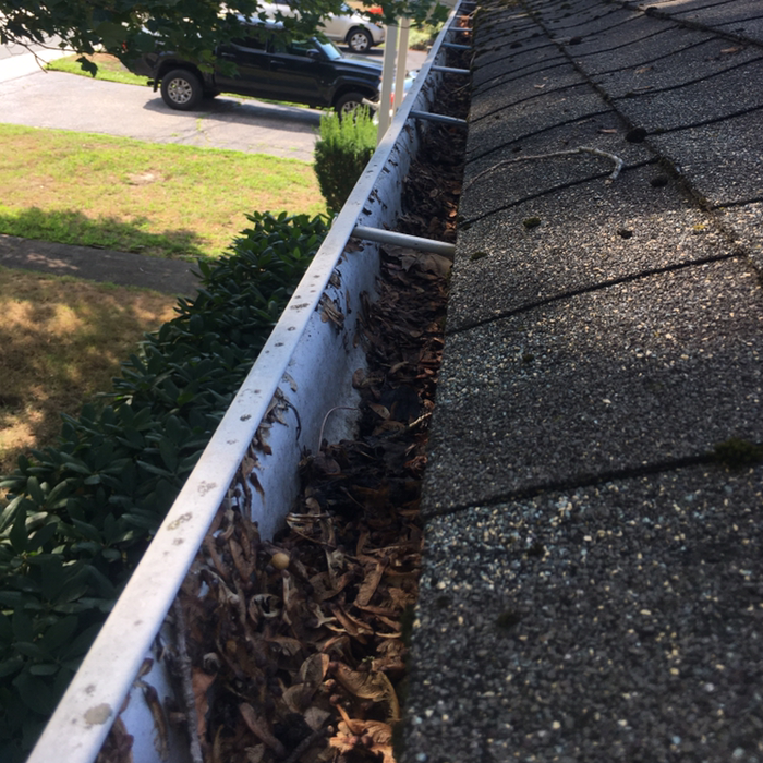Additional Photos
