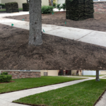 Sod Installing process and after.