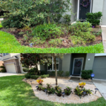 Before and after