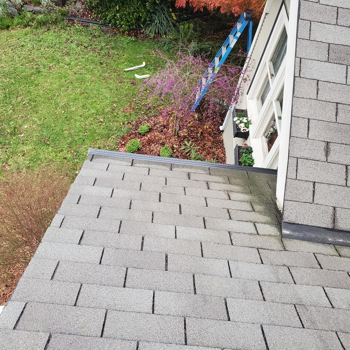 Roofing Project