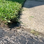 Lawn Care