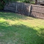 Lawn Care