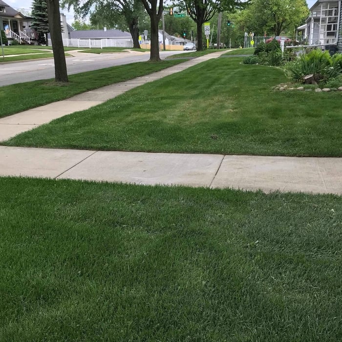 Grass was so long