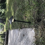 Landscaping Project