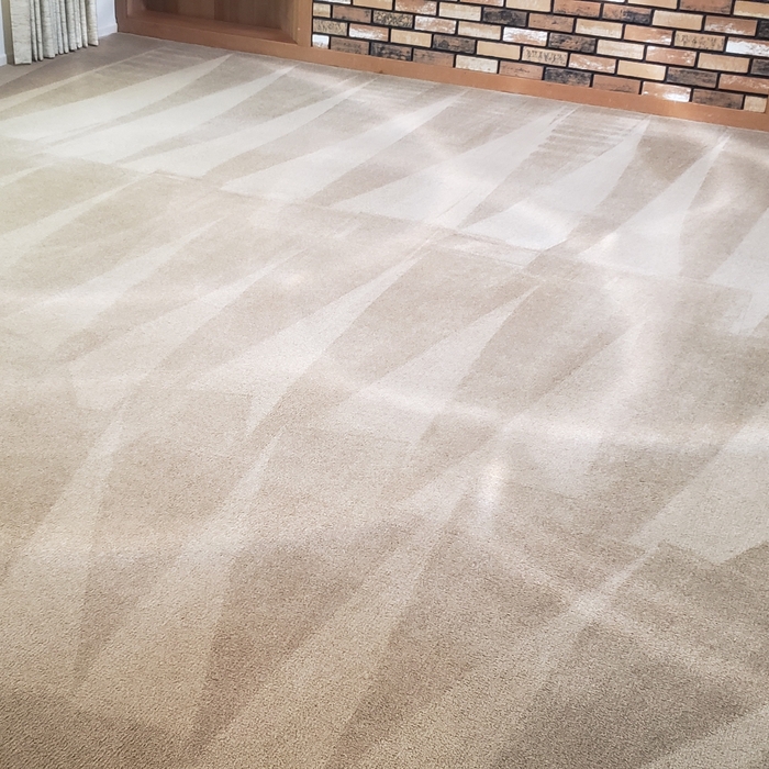 After carpet cleaning