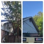 Oak and Cedar Limb Removal