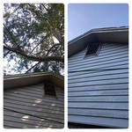Oak and Cedar Limb Removal