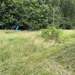 Lawn and Yard Work Project