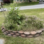 Leaf Removal Project