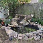 Small Pond and waterfall