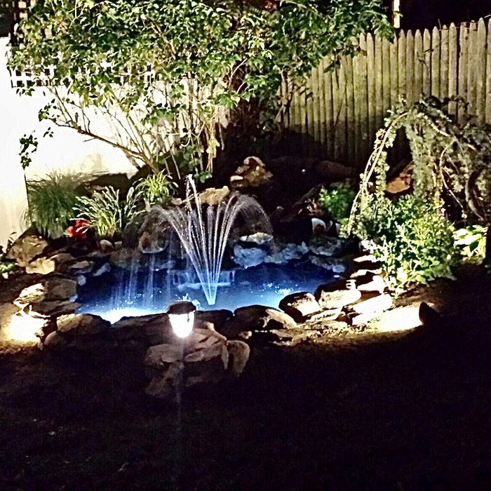 Small Pond and waterfall