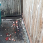 Additional Photos