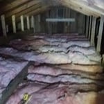 Rodent/critter proofed with disinfecting and replacement of insulation after picture