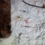 Contaminated attic insulation after rodents were present and R-value dropped from activity and infestation
