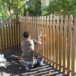 Old fence Painting