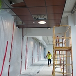 Osha protection