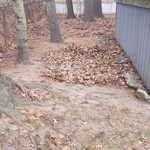 Landscaping Project