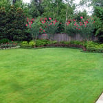 house cleaning, interior designing, lawn mowing full service