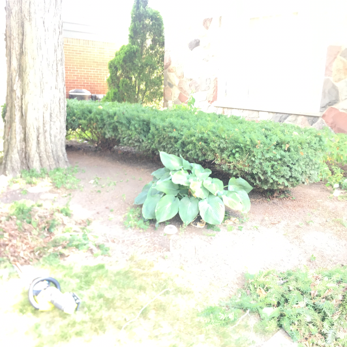 Additional Photos