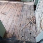 Sekui water damage repair