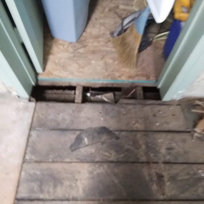 Sekui water damage repair
