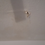 Ceiling Repair