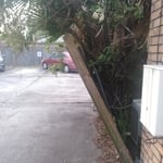 Fence repair