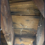 Harbour Blue Hip Roof
