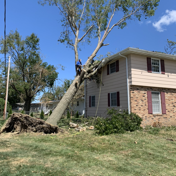 Additional Photos