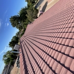 New Shingle roof
