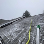Moss treatment application
