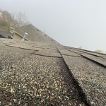 Roof Cleaning