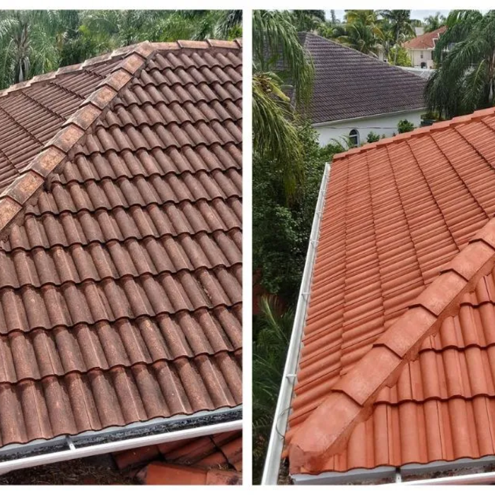 Additional Photos