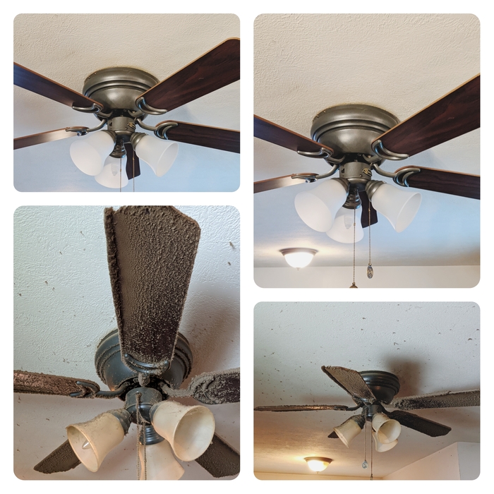 Additional Photos