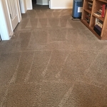 Carpet and Tile Cleaning